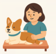 Fisioterapia